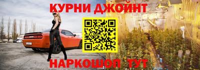 крисы Кунгур