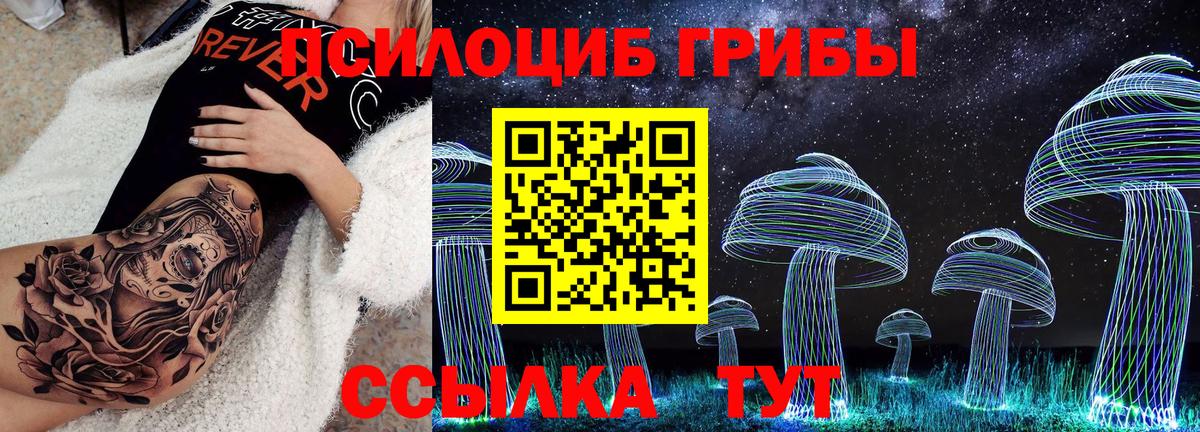 Галлюциногенные грибы мицелий  Галлюциногенные грибы Psilocybine cubensis  Казань  Вход с VPN 